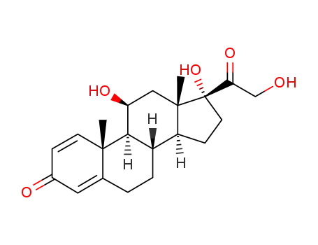prednisolon