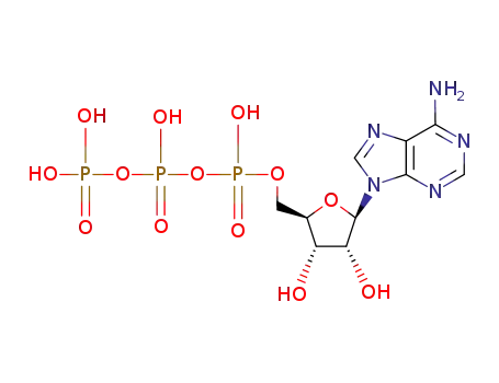 ATP